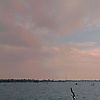 blue_73043
