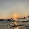 cc_18918