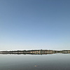 arshia_