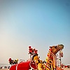 nur_54671