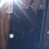 maria_70290