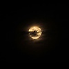 gana_12163