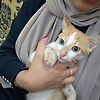 aliyaz_89553