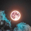 quvonchmirzo_3108