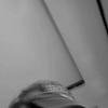 amaya_98563