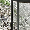 little_18144