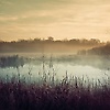 jake_37179