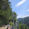 aist_46242