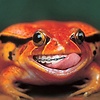 mocchiri