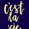 alex_61598