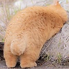 user_153375