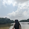 Albatross_SNA