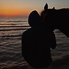 theking_63698