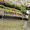 sam_34386