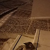 bhagyashri_24775