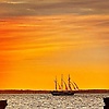 ammar_51480