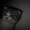 niikio