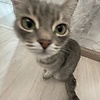 Aikoyw