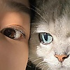 11mimi_23797