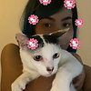 lilbubblegum
