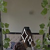 sasha_71405
