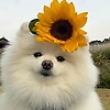 user_65369