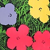 user_513475