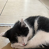 aye_68302
