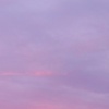 lev_55519