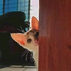 Itzzsam
