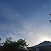curtis_82085