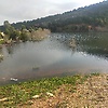 ahmed_82468