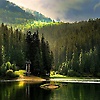 aisha_45993