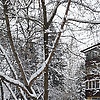 andrew_42078