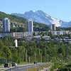 Narvik39