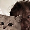 user_833308