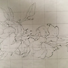 mary_45643