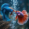 rafi_35964