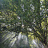zehra_27588