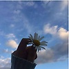 cirin_57579