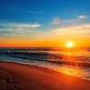 vitor_queiroz