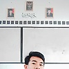 verdi_29522