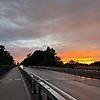 adam_40721