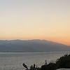 salli_34787