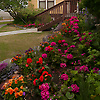 kellykeith_15586