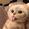 Iamb3tm3n