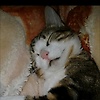 fatima_79848