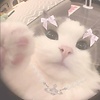 Mangogirl.13