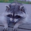 max_22102