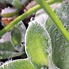 user_190078